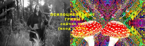 синтетический гашиш Белокуриха