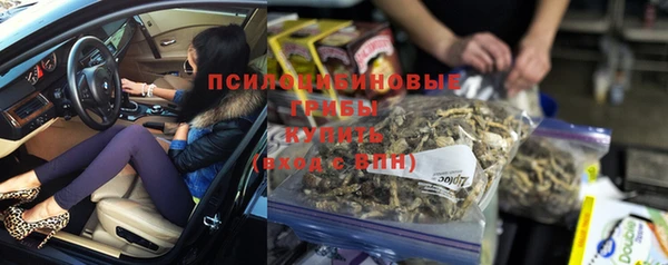 спиды Богородицк