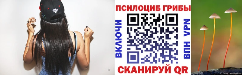 Псилоцибиновые грибы GOLDEN TEACHER  hydra   Чита  дарнет шоп 